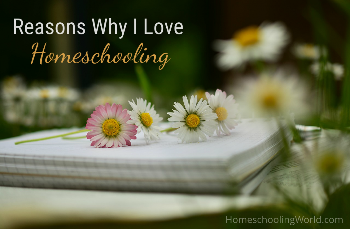 Reasons Why I Love Homeschooling - HomeschoolingWorld.com