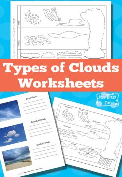 Types of Clouds (Free Printable)