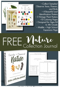 FREE 80-Page Nature Collection Notebook