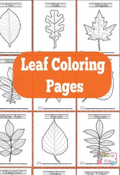 FREE Leaf Coloring Pages