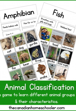 Free Animal Classification Printables