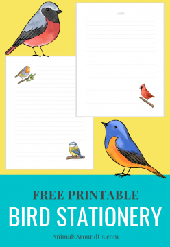Free Printable Bird Letter Stationery