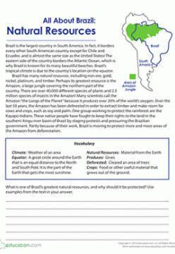 All About Brazil: Natural Resources Worksheet (Free Printable)