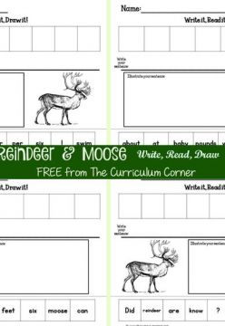 FREEBIE: Reindeer &amp; Moose Read, Write &amp; Draw It