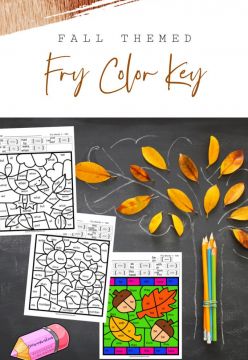 Free Fall Fry Color Code Set