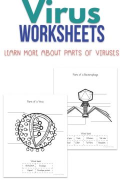 Free Virus Worksheets