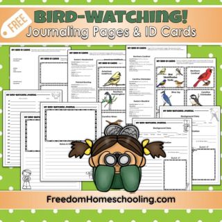 Free Bird Watching Journal and ID Cards