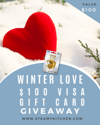 GIVEAWAY: $100 Winter Love Visa Gift Card