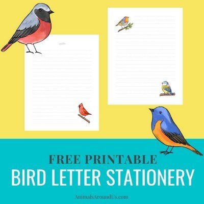 Bird letter stationery