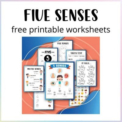 Five senses worksheets for preschool and kindergarten