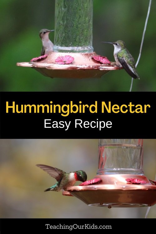 Two pictures of hummingbirds at feeders. Top picture with two female ruby-throated hummingbirds, and bottom picture with one male ruby-throated hummingbird taking a drink from the feeder. Next in the middle says "hummingbird nectar - easy recipe"