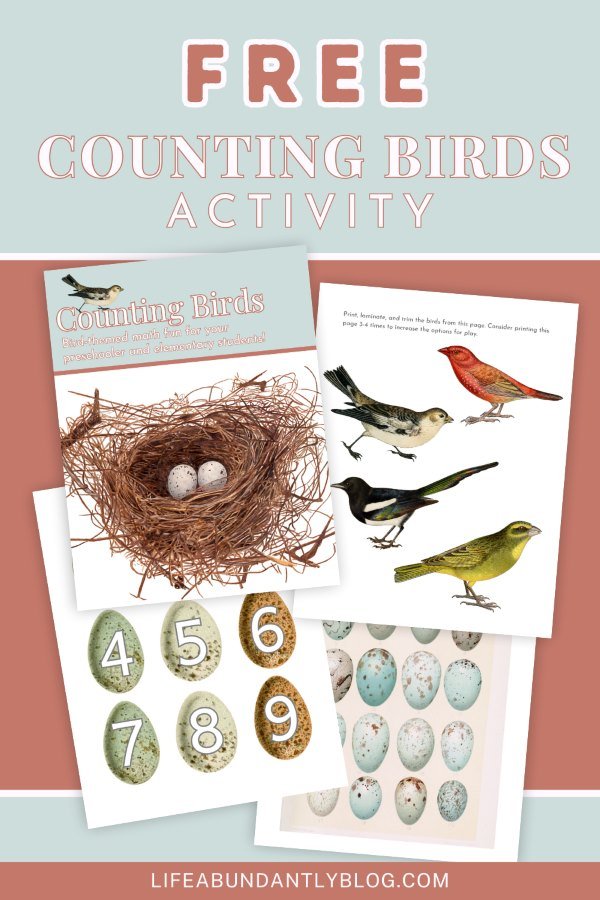 Counting Bird Activity Set